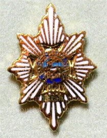 Worcestershire & Sherwood Foresters Lapel Pin